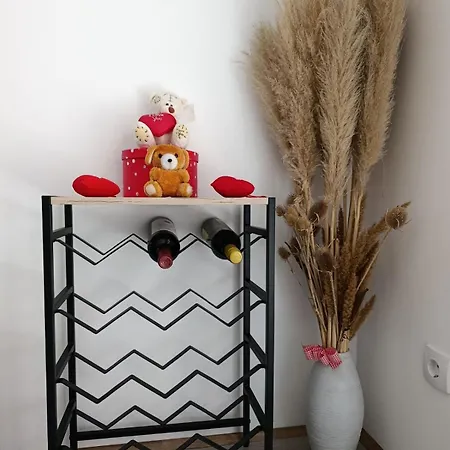 Andjela Lux Apartament Belgrad